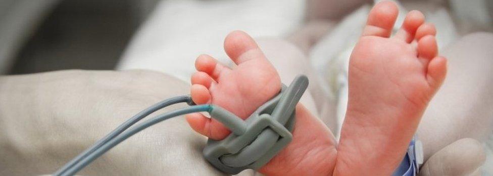 Baby's feet in hand