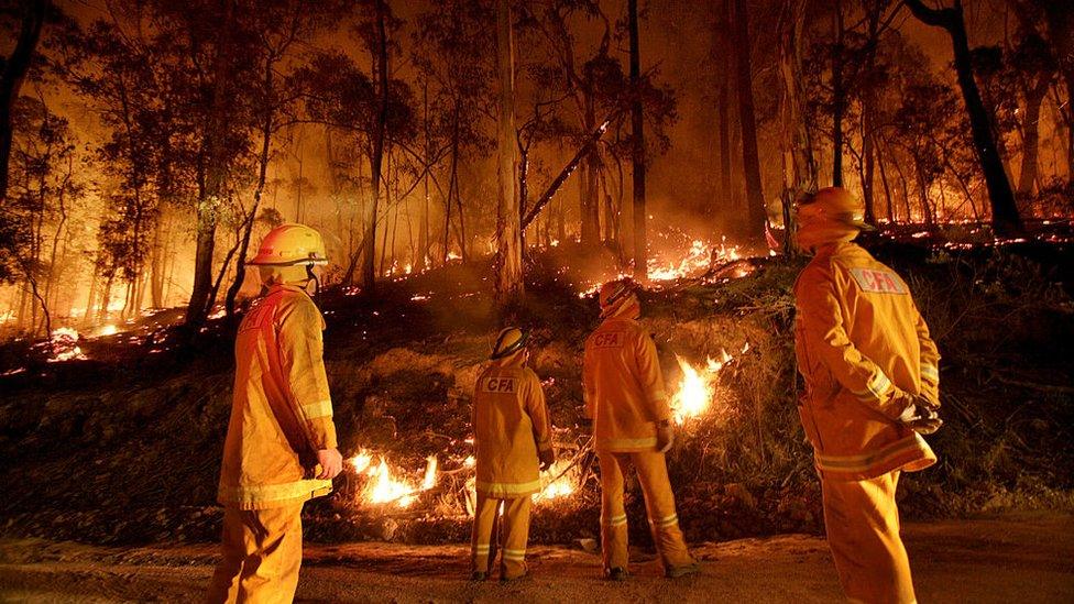 Firefighters burning brush to prevent forest fires