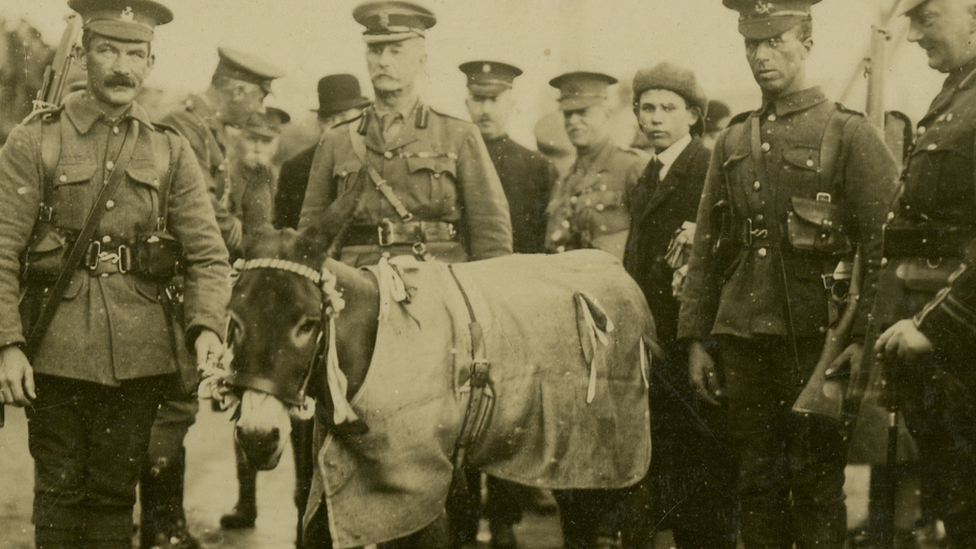 Joey the Donkey, the RGLI's mascot