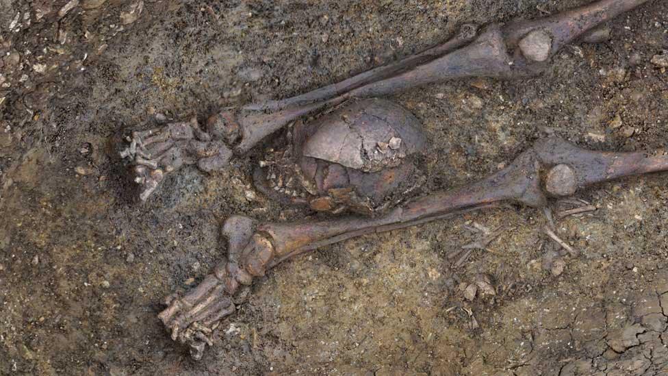 Close-up of Roman decapitated skeleton, Fleet Marston