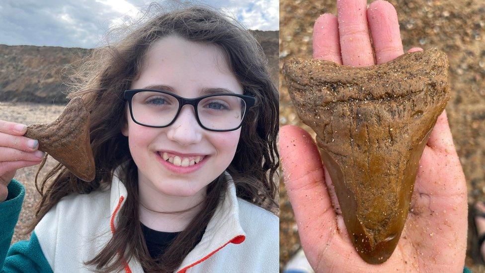 elana-holding-fossil-tooth.