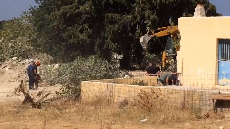 Tree removal at Ben Needham search site