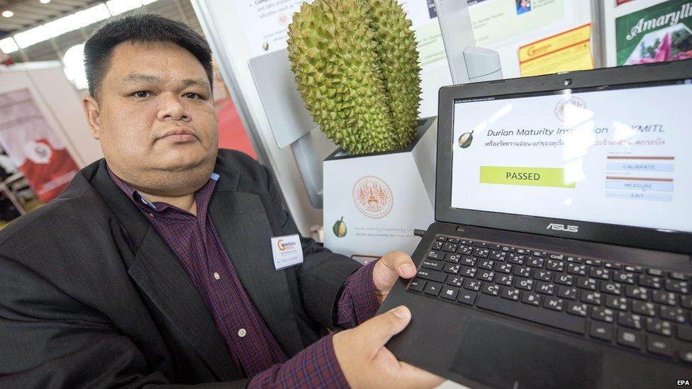 Man holding a laptop by a durian