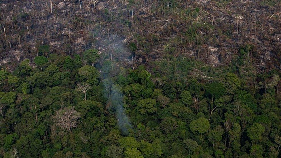 A section of the Amazon rain forest that has been decimated by wildfires