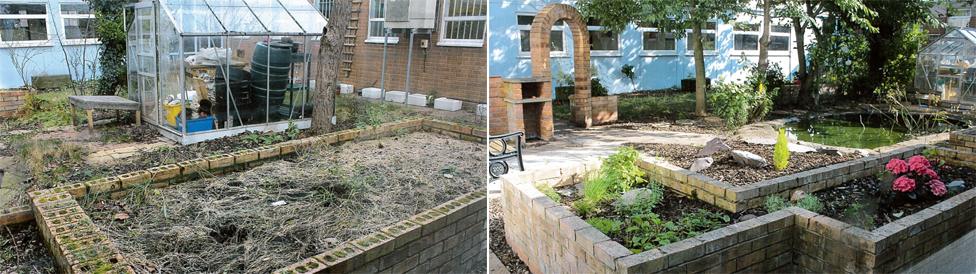garden before and after