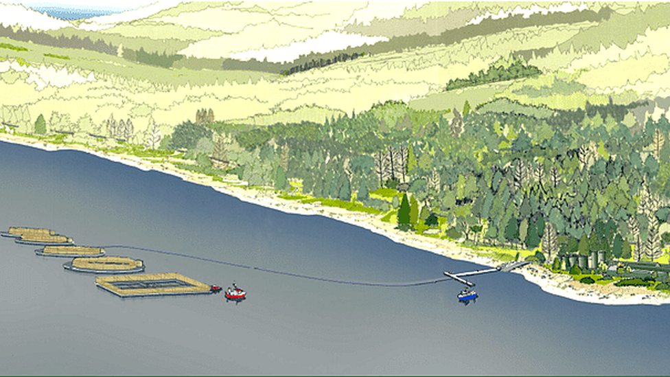 Artist's impression of how the farm will look. The image shows fish pens on the loch and the shoreline with a jetty and green trees