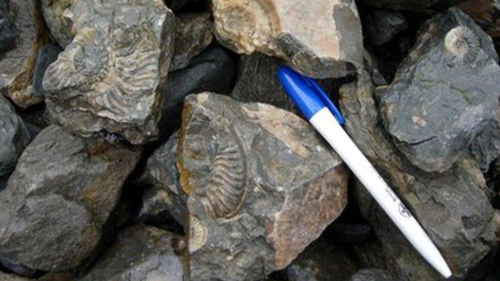 Damaged fossils in Skye