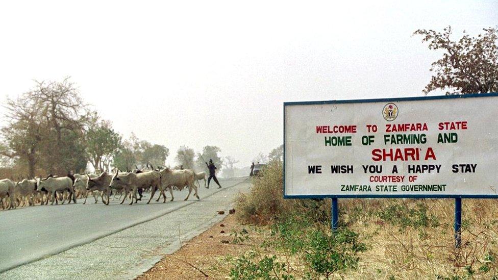 Cattle crossing the road by a sign welcoming people to Zamfara state