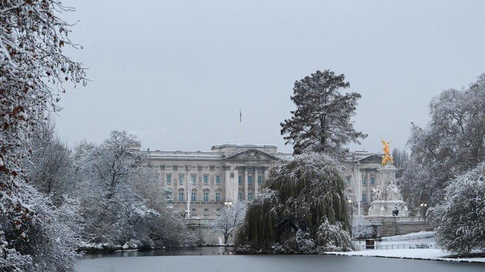 The trees of St James's Park covered in snow, with Buckingham Palace in the background