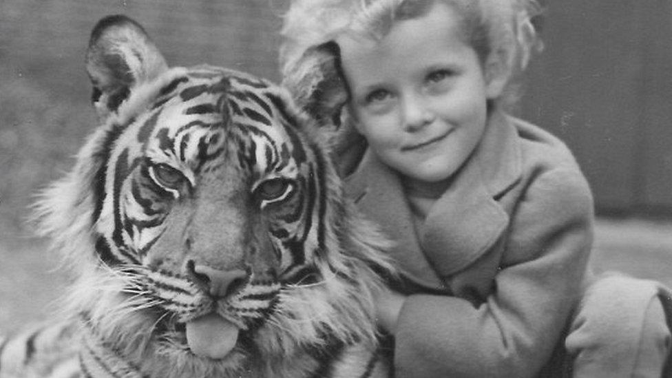 Tiger and child