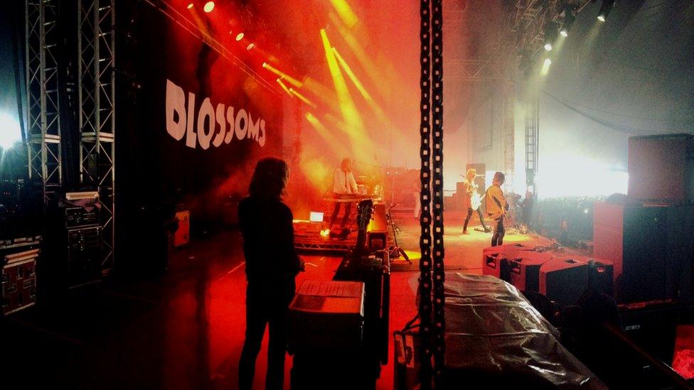 Blossoms on stage