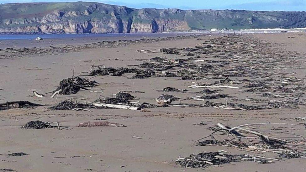 Brean Beach, Somerset