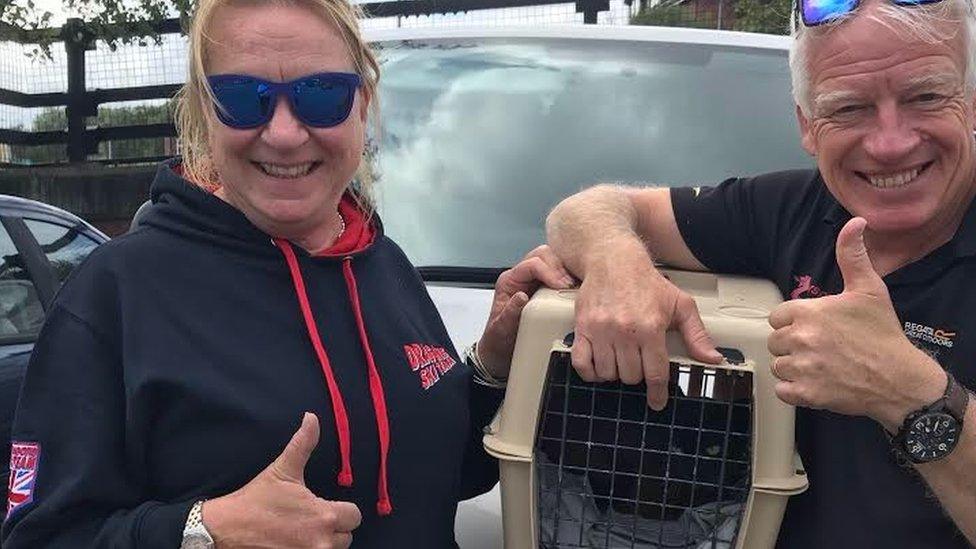 Bear reunited with owners