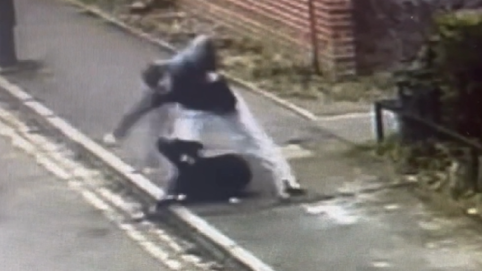 CCTV footage of Scott Birt attacking his dog Hugo