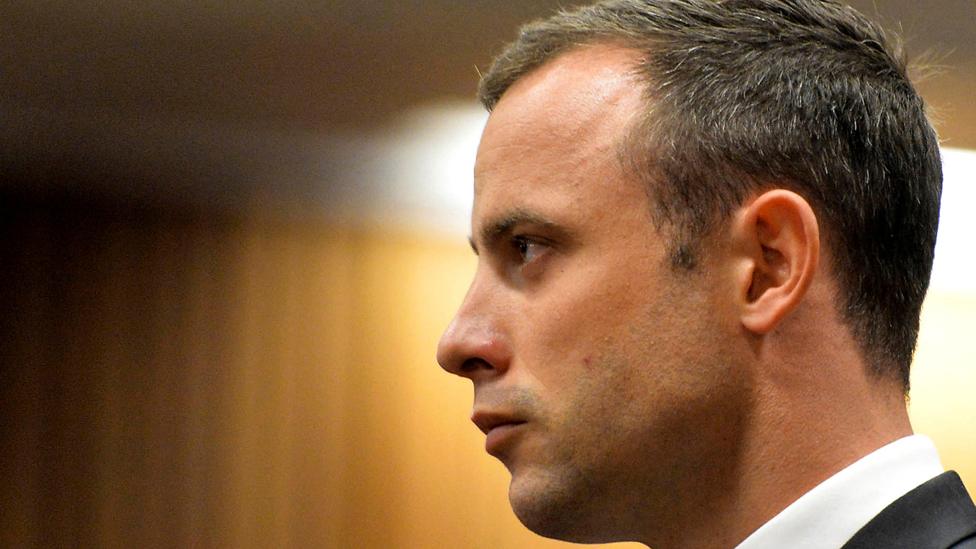 Oscar Pistorius pictured in 2014