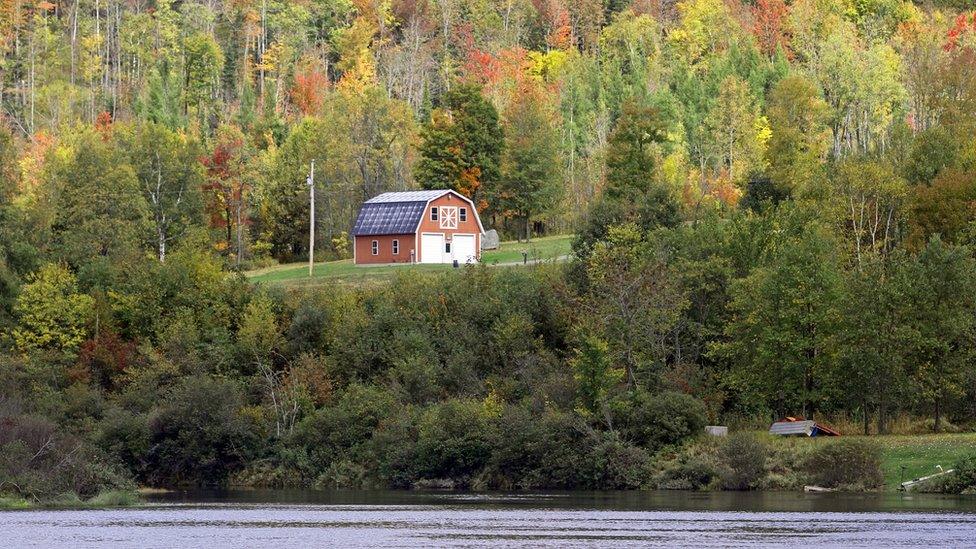 Foliage with red barn Coos County New Hampshire