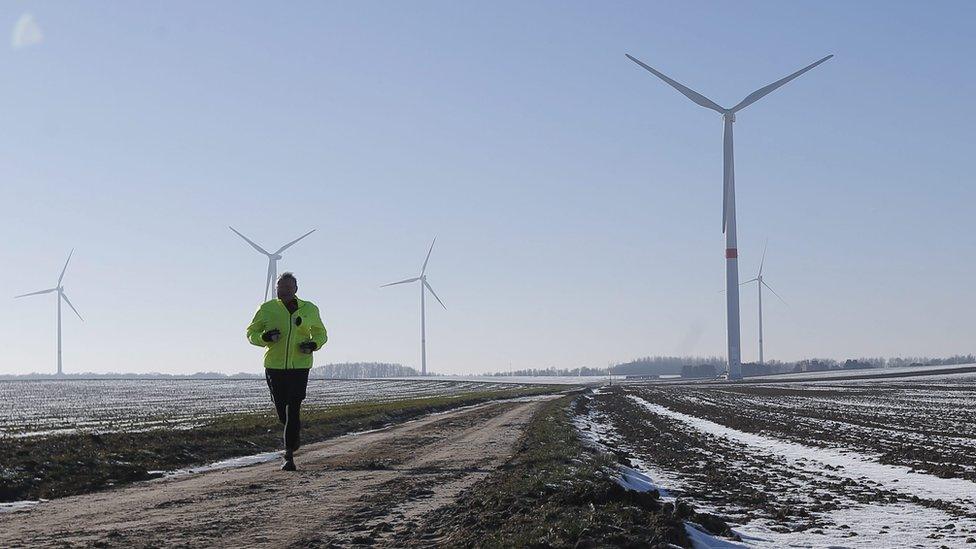 wind farm