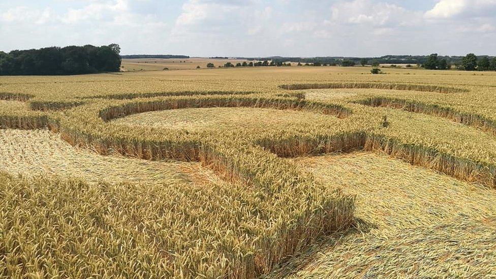 Chemical weapon symbol crop circle