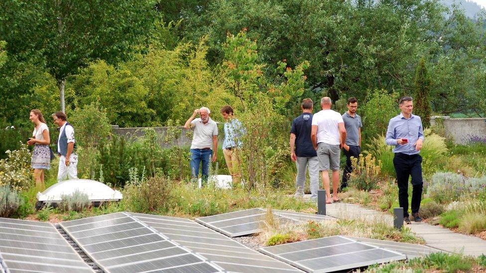 People walking on a biosolar rooftop