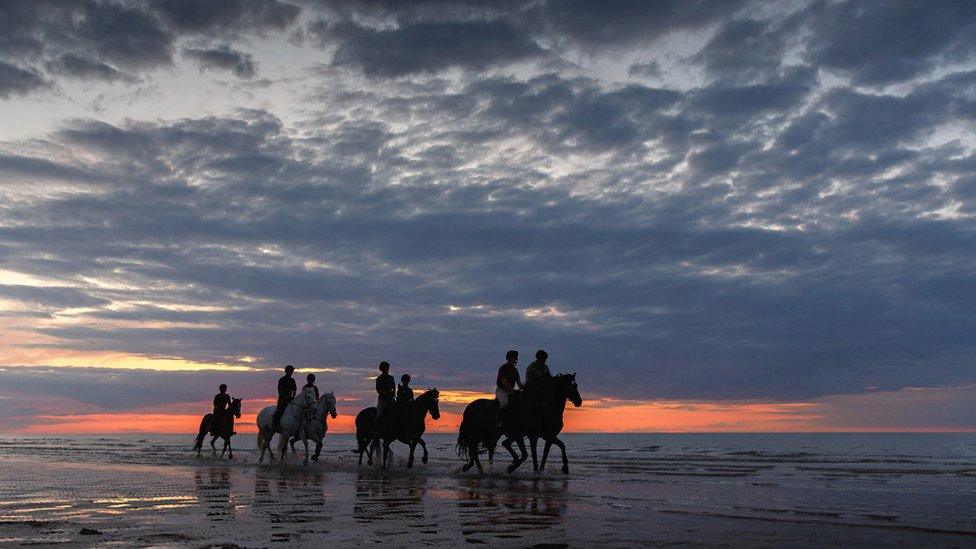 Household Cavalry Mounted Regiment on Holkham beach