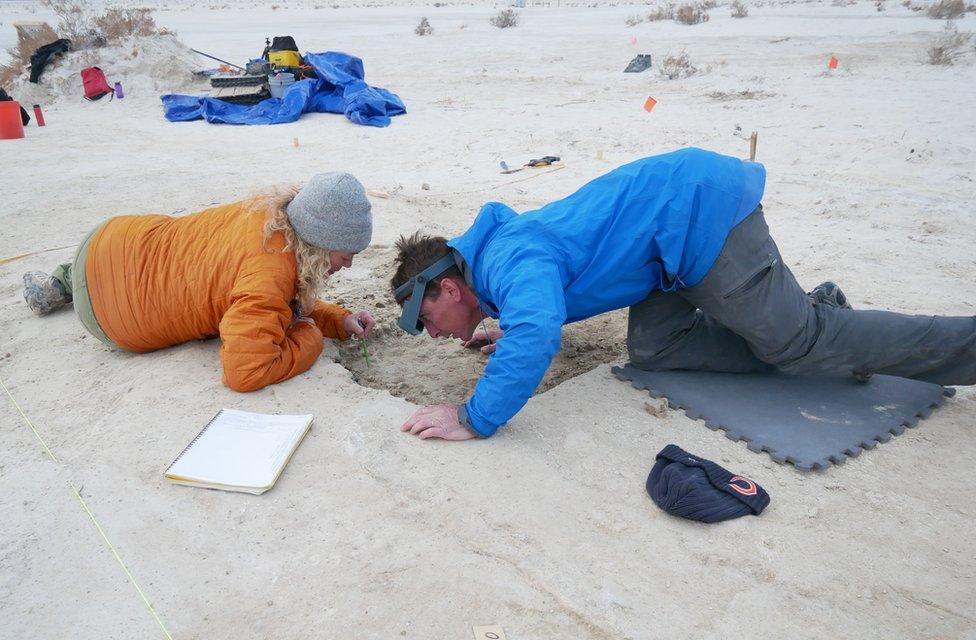 Team members record the seed layers above the prints