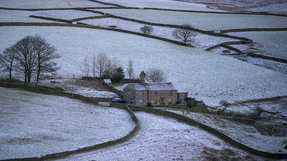 Snowy fields