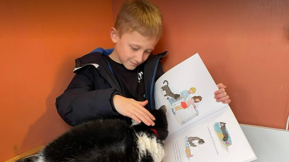 Boy reading to a cat