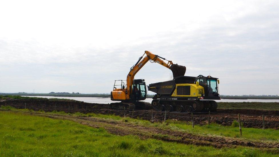 Sea embankment being lowered at Northey Island