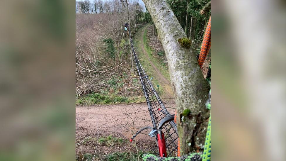 Dormice - A rope bridge bring attached between trees over the wood