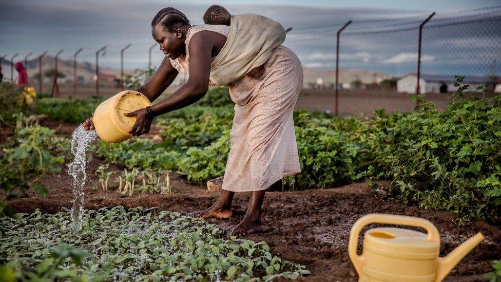 Woman carrying a baby waters vegetables on Friday 4 October 2019