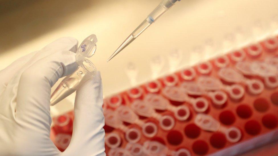 A scientist dilutes samples during the research and development of a vaccine against the coronavirus disease (COVID-19) at a laboratory of BIOCAD biotechnology company in Saint Petersburg, Russia