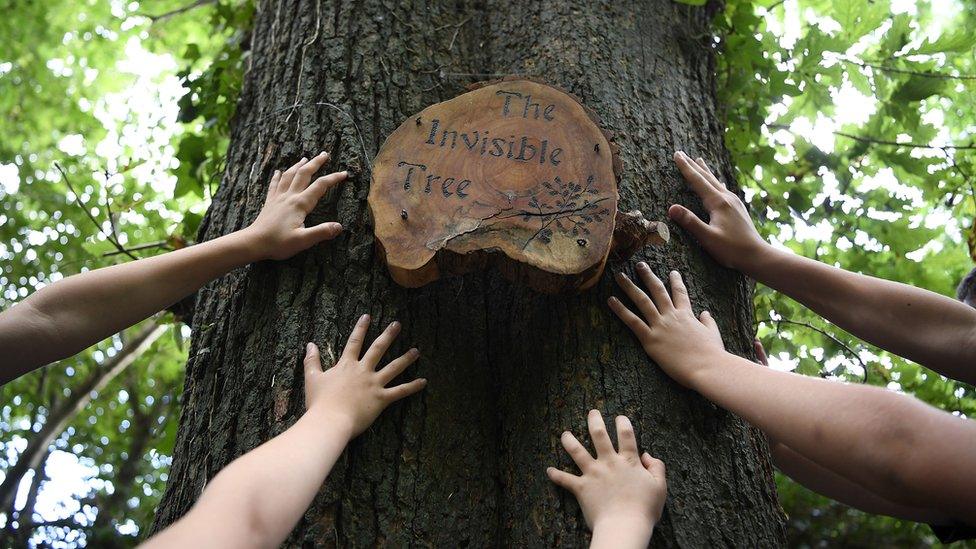 People's hands on the "Invisible Tree"