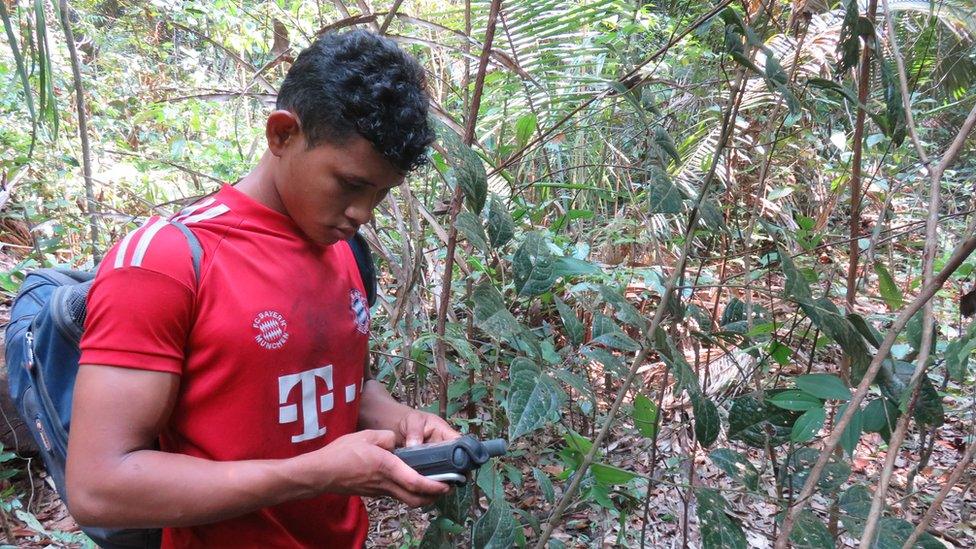 Nelison Saw Munduruku using his GPS