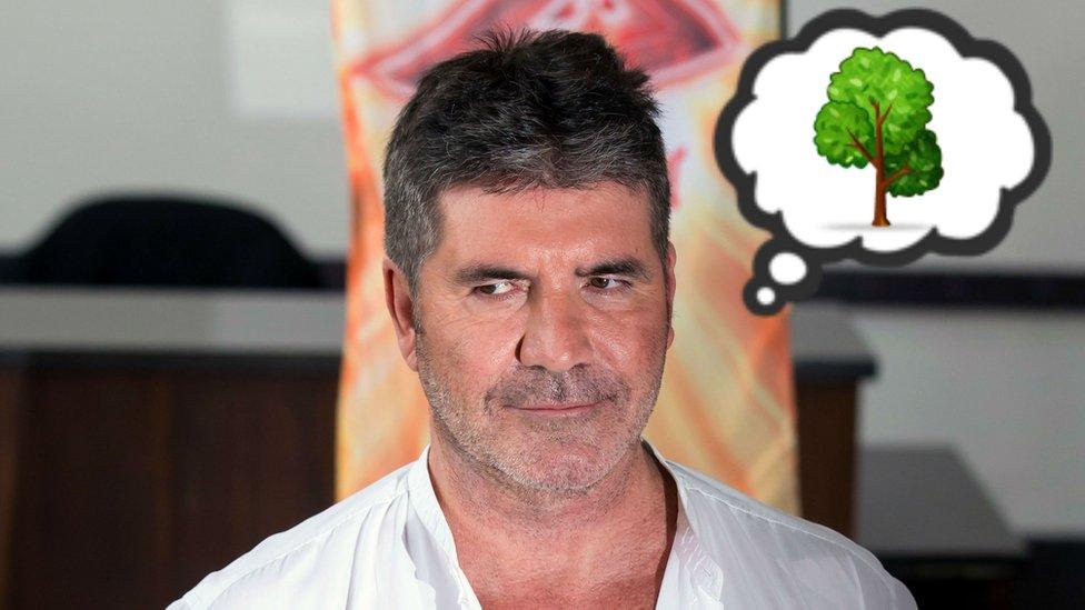 Simon Cowell