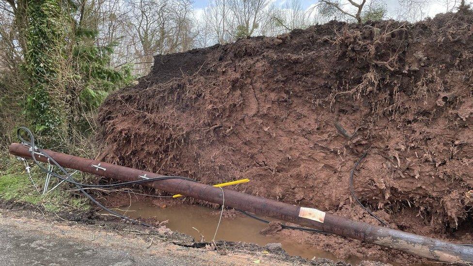 Fallen telegraph pole