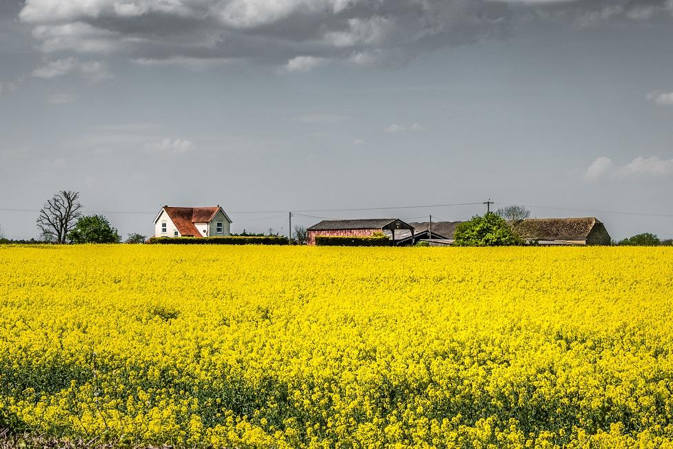 Bury's Farm near Stanton Harcourt, Oxfordshire