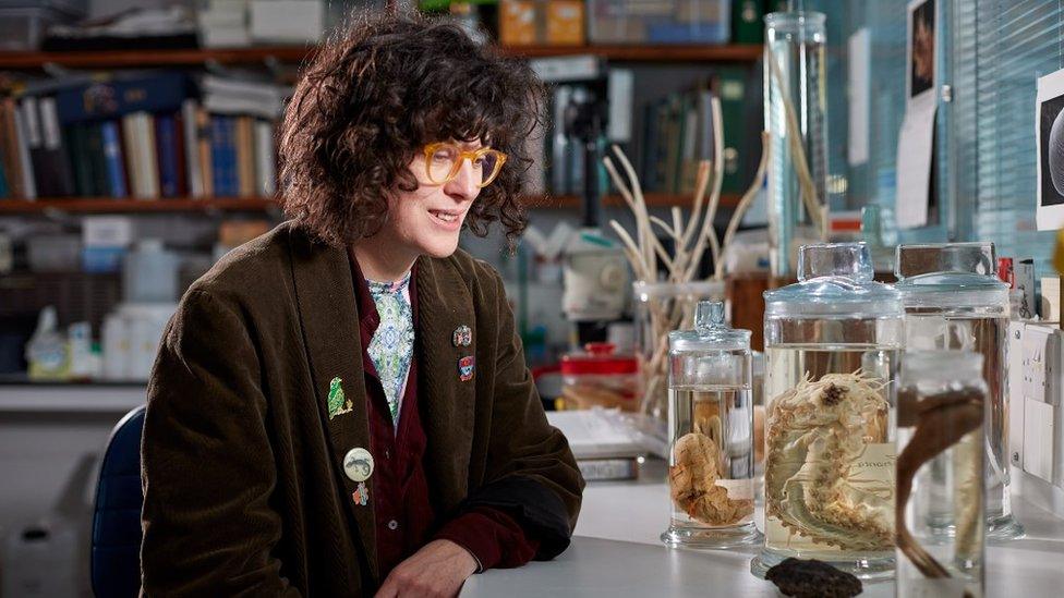 Scientist at the Natural History Museum, London