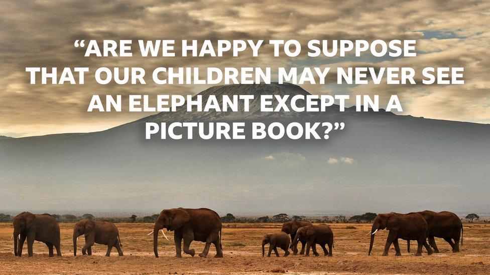 elephant-quote.