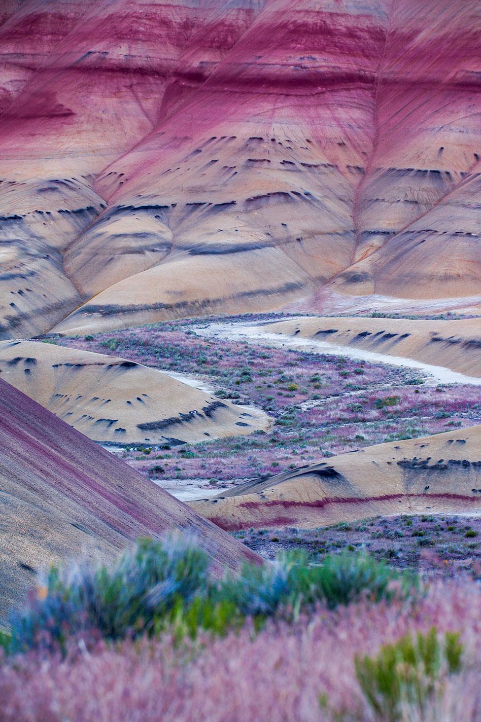 A landscape view of the Painted Hills in Oregon, US