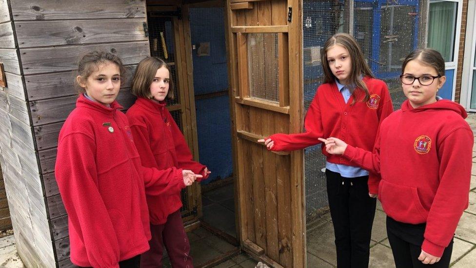 Four pupils outside empty aviary