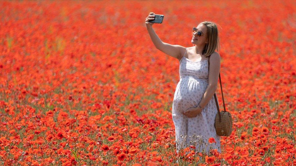 A woman in a field of poppies in Bramford, Suffolk