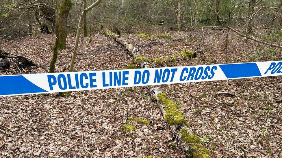 Police cars at Cavenham Heath Nature Reserve, Suffolk