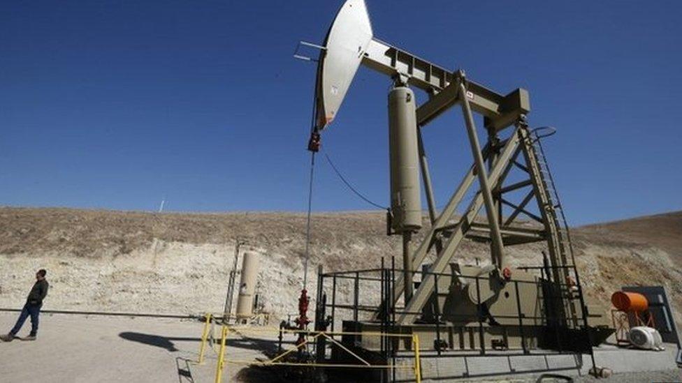 An exploratory pumpjack (also called nodding donkey, pumping unit, horsehead pump, rocking horse) well drills for oil in the Monterey Shale, California, April 29, 2013.