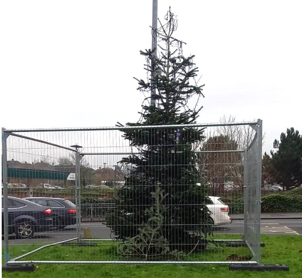 The Baillieston tree on Friday