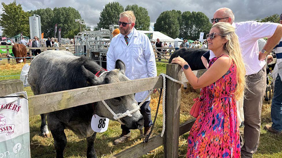 A woman in a bright patterned dress and a man with white shirt and tan trousers stand by a wooden fence behind which stands a grey cow and a man wearing a white coat