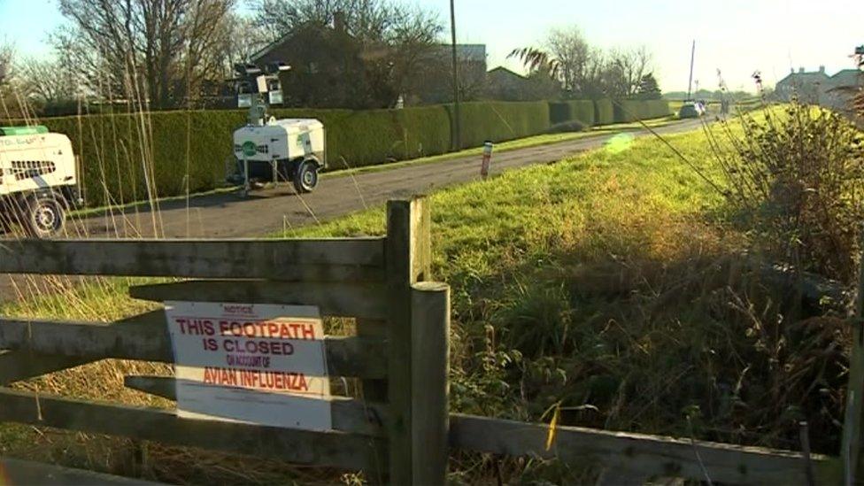 Farm in Louth with Bird flu warning sign