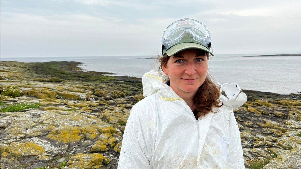 Farne Island area ranger Harriet Reid in PPE