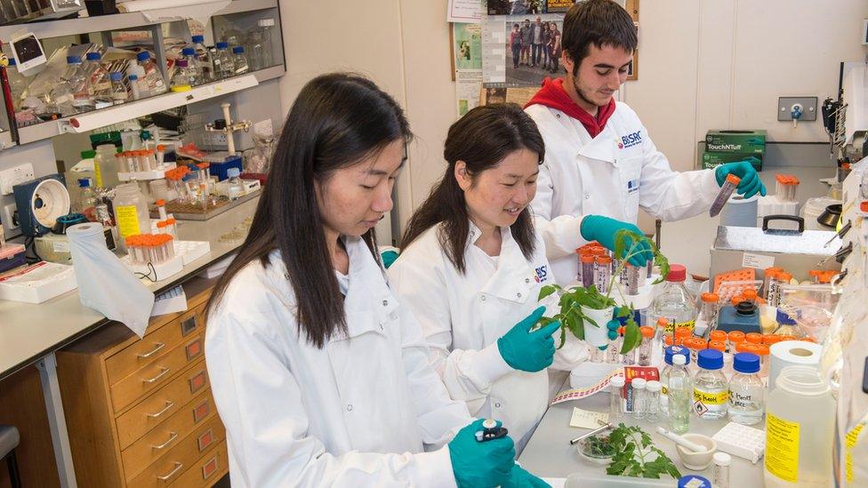 Chinese researchers working in the UK