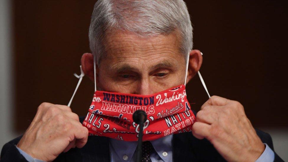 Tony Fauci dons mask at a hearing