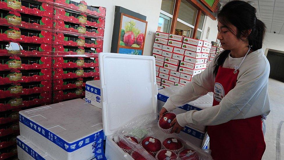 Japan apple packing